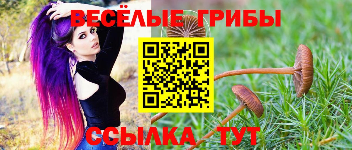 Старая Купавна  Псилоцибиновые грибы Psilocybine cubensis  Вход с VPN 